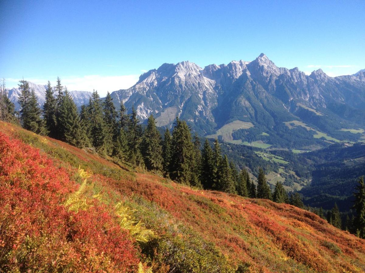 Pension Aberger Saalbach-Hinterglemm Zewnętrze zdjęcie