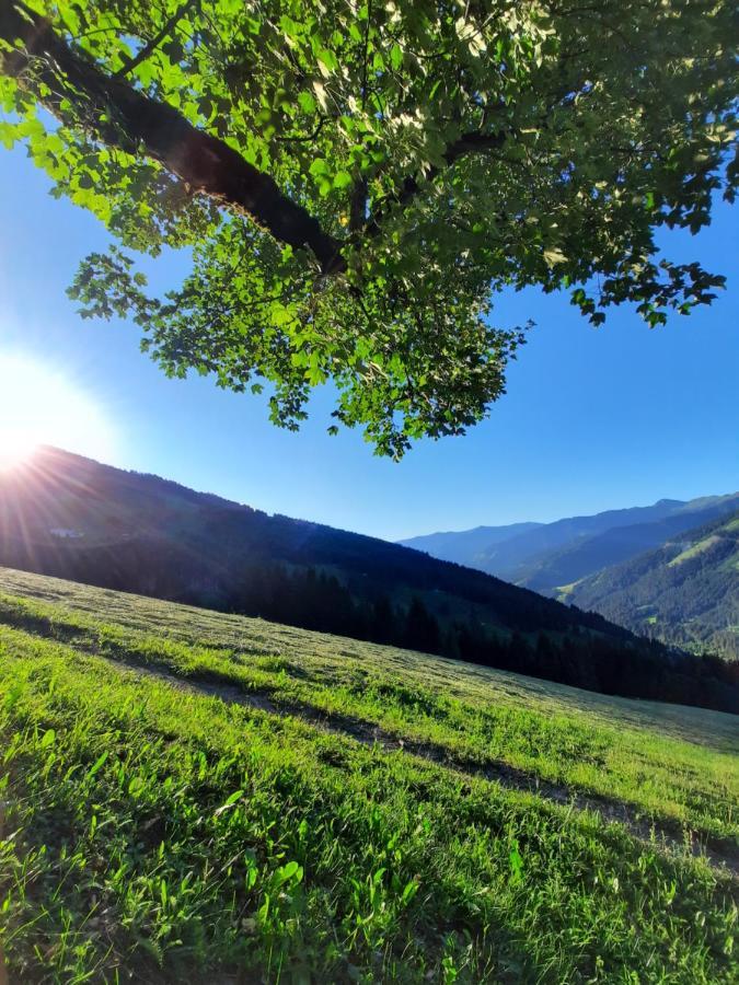 Pension Aberger Saalbach-Hinterglemm Zewnętrze zdjęcie